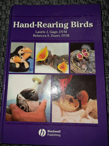 Hand rearing birds - birds, abd