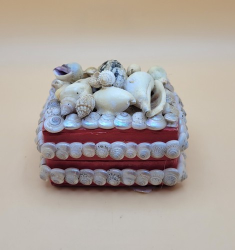Vintage mini sea shell - mini,