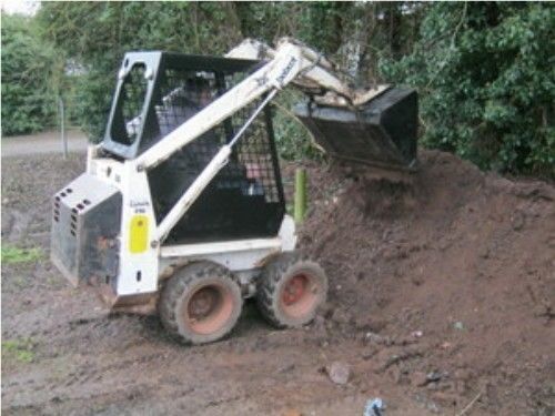Bobcat 310 313 - bobcat, steer