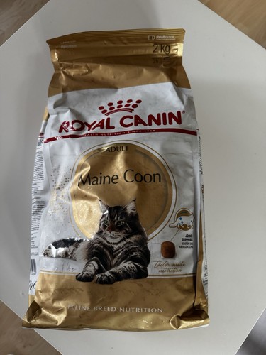 Royal canin maine coon adult - coon,