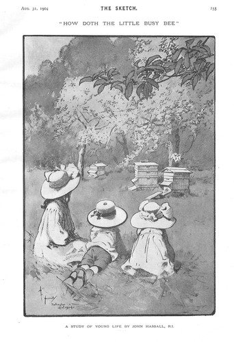 The little busy bee - study, of