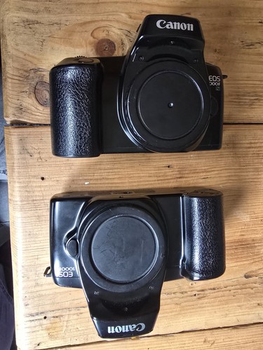 Canon eos 1000f - 1000f, 1000fn