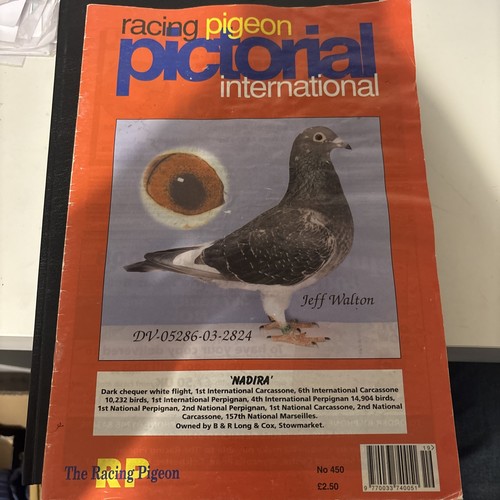 Racing pigeon pictorial - racing,