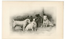 PATTERDALE JACK RUSSELL TERRIER DOGS 1896 ANTIQUE DOG ART PRINT BY ARTHUR WARDLE