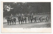 Pre-WW1 RHA Royal Horse