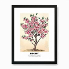 Ebony Tree Storybook