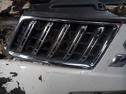 Front grille 2389816 - front,