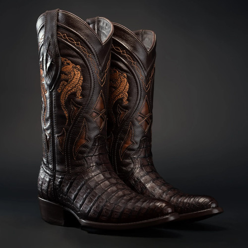 Genuine exotic alligator - exotic,