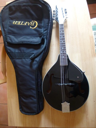 Tanglewood acoustic mandolin - tanglewood,