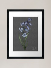 Bluebell Flowers Framed Art