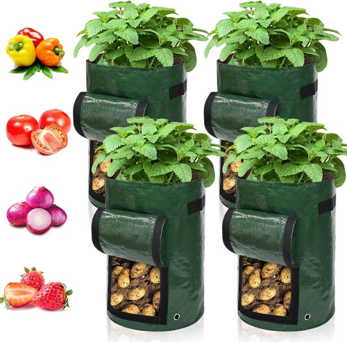 Ram pack gallon potato - pack,