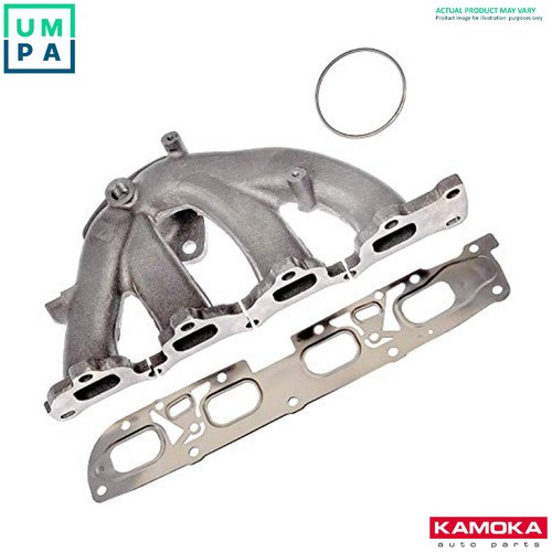 Gasket exhaust manifold - gasket,