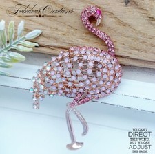 Stunning Pink Flamingo Bird