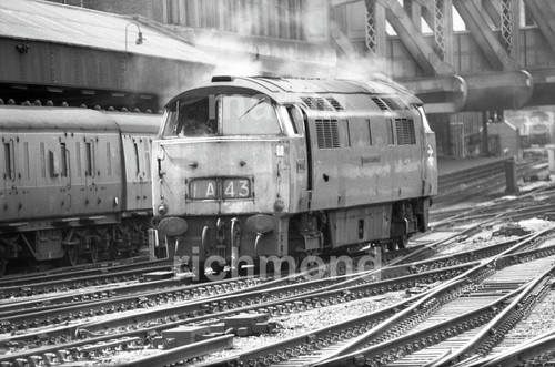 Paddington class western - paddington, 52