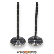 Intake Valve Kit Compatible