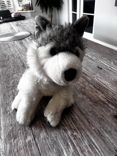 Soft cuddly toy husky dog - soft,