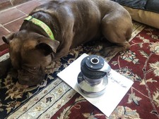  Lewmar ST30 Self Tailing Ocean winch (single) Chrome Yacht Sailing Harken 