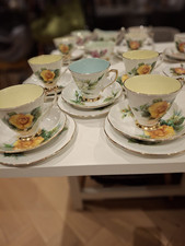 Wheatcroft Roses Roslyn  Tea