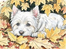 A5 greeting card can be