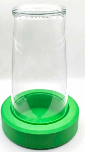 Bottle garden mini terrarium - bottle,