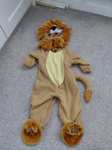 Baby lion costume all - in, one