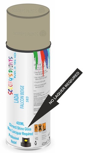 Direct shine paint - shine, spray