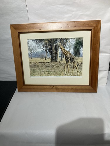 Garage find framed giraffe - garage,
