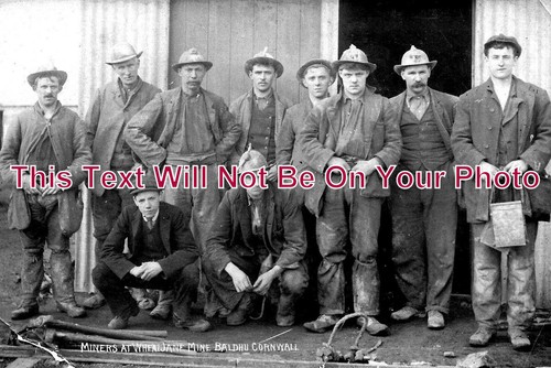1320 miners at wheal - co,