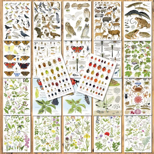 British nature - a5,