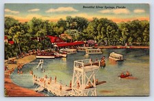Postcard Florida Silver