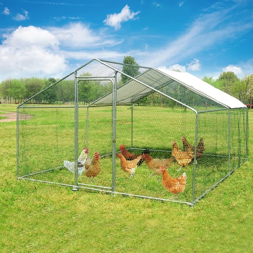 Large walk chicken coop - large, in