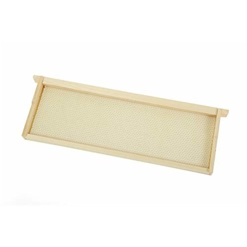 Little giant wooden wax coated - giant, wax-coated