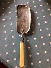 Antique Silver Crumb Catcher