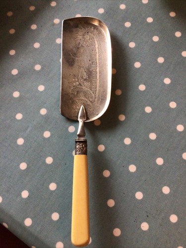 Antique silver crumb catcher - antique,