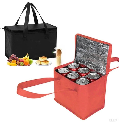Portable insulated lunch - insulated,