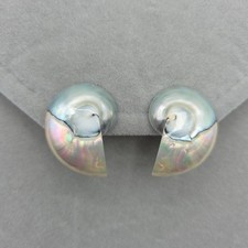 Natural Nautilus Pearlized