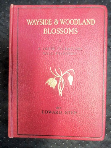 Wayside woodland blossoms - wayside, &