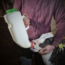 Calf Bottle 4 Litre Milk