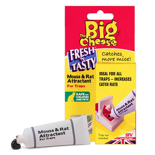 The big cheese mouse rat - cheese, &