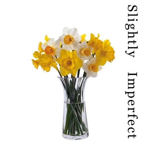 Florabundance daffodil vase - vase,