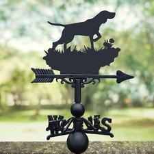 German Short-Haired Pointer