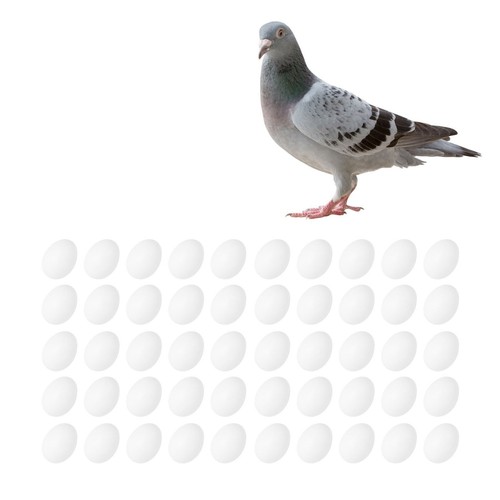 Plastic fake pigeon eggs - pigeon, solid