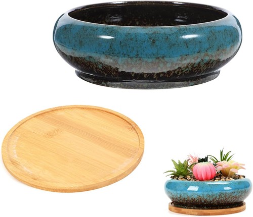Ceramic lotus bowl planter - ceramic,