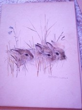 Vintage Mads Stage "76 Danish Art. Baby Rabbit