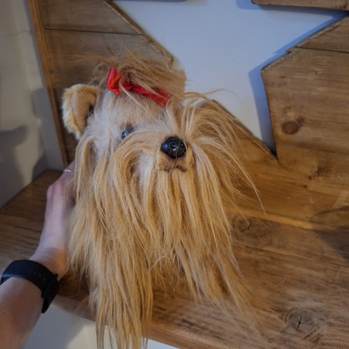 Suki realistic long haired - suki,