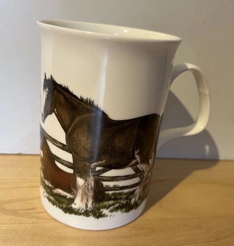 Roy kirkham shire - shire, horses