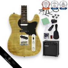 Aria Pro II 615AE200(B) 14String Electric Guitar Beginner Set with Yamaha