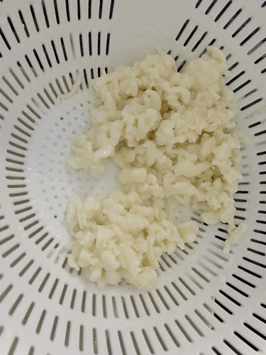 Organic milk kefir grains - organic,