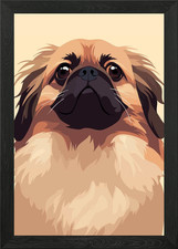 Cute Funny Pekingese Dog