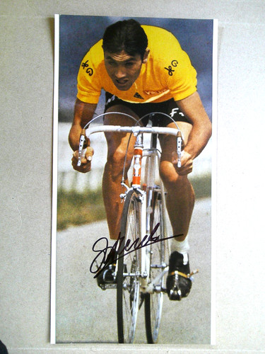 Eddy merckx original - eddy,